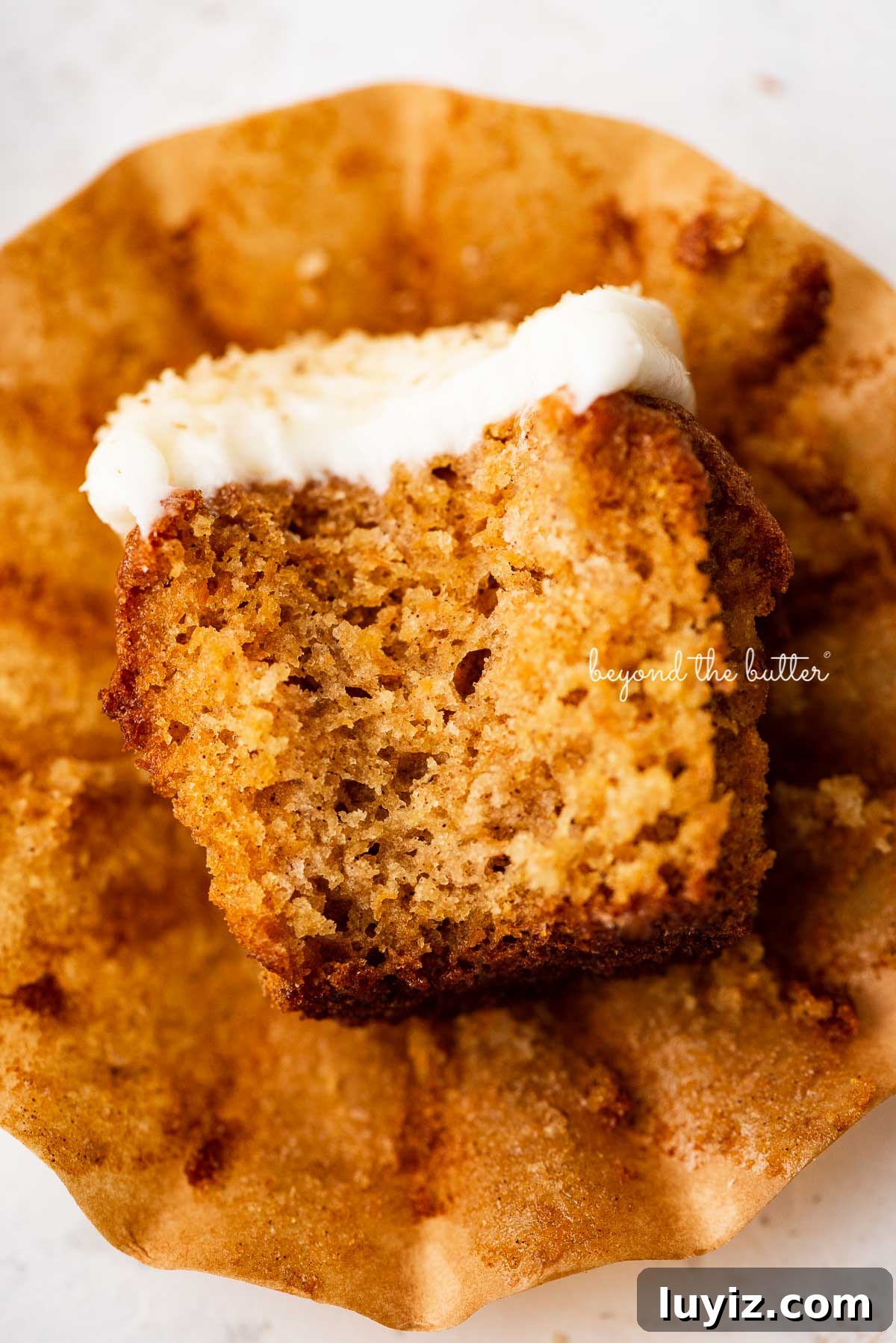 Ultra-Moist Carrot Cake Cupcakes with Cream Cheese Frosting 5 One unwrapped carrot cake cupcake with a bit taken out of it laying on its side.