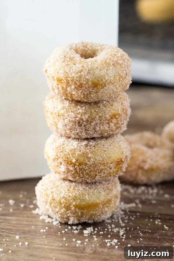 Mini Cinnamon Sugar Donuts Recipe — Crispy Baked Treats 3 Mini Cinnamon Sugar Doughnuts just like the fair! With golden edges, a delicious coating of cinnamon sugar, and baked instead of fried - these are the PERFECT copycat recipe!