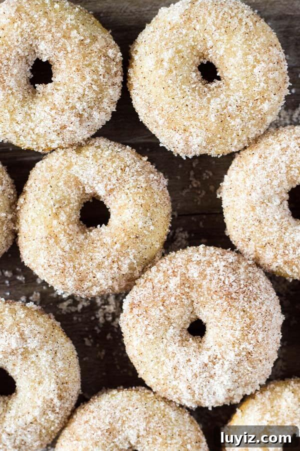 Mini Cinnamon Sugar Donuts Recipe — Crispy Baked Treats 4 Mini Cinnamon Sugar Doughnuts just like the fair! With golden edges, a delicious coating of cinnamon sugar, and baked instead of fried - these are the PERFECT copycat recipe!