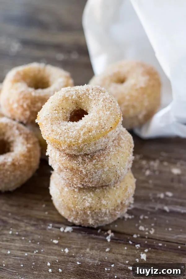 Mini Cinnamon Sugar Donuts Recipe — Crispy Baked Treats 5 Mini Cinnamon Sugar Doughnuts just like the fair! With golden edges, a delicious coating of cinnamon sugar, and baked instead of fried - these are the PERFECT copycat recipe!