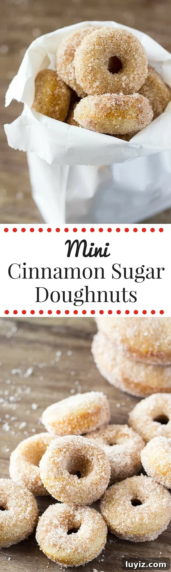 Mini Cinnamon Sugar Donuts Recipe — Crispy Baked Treats 6 Mini Cinnamon Sugar Doughnuts just like the fair! With golden edges, a delicious coating of cinnamon sugar, and baked instead of fried - these are the PERFECT copycat recipe!