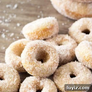 Mini Cinnamon Sugar Doughnuts just like the fair! With golden edges, a delicious coating of cinnamon sugar, and baked instead of fried - these are the PERFECT copycat recipe! www.justsotasty.com