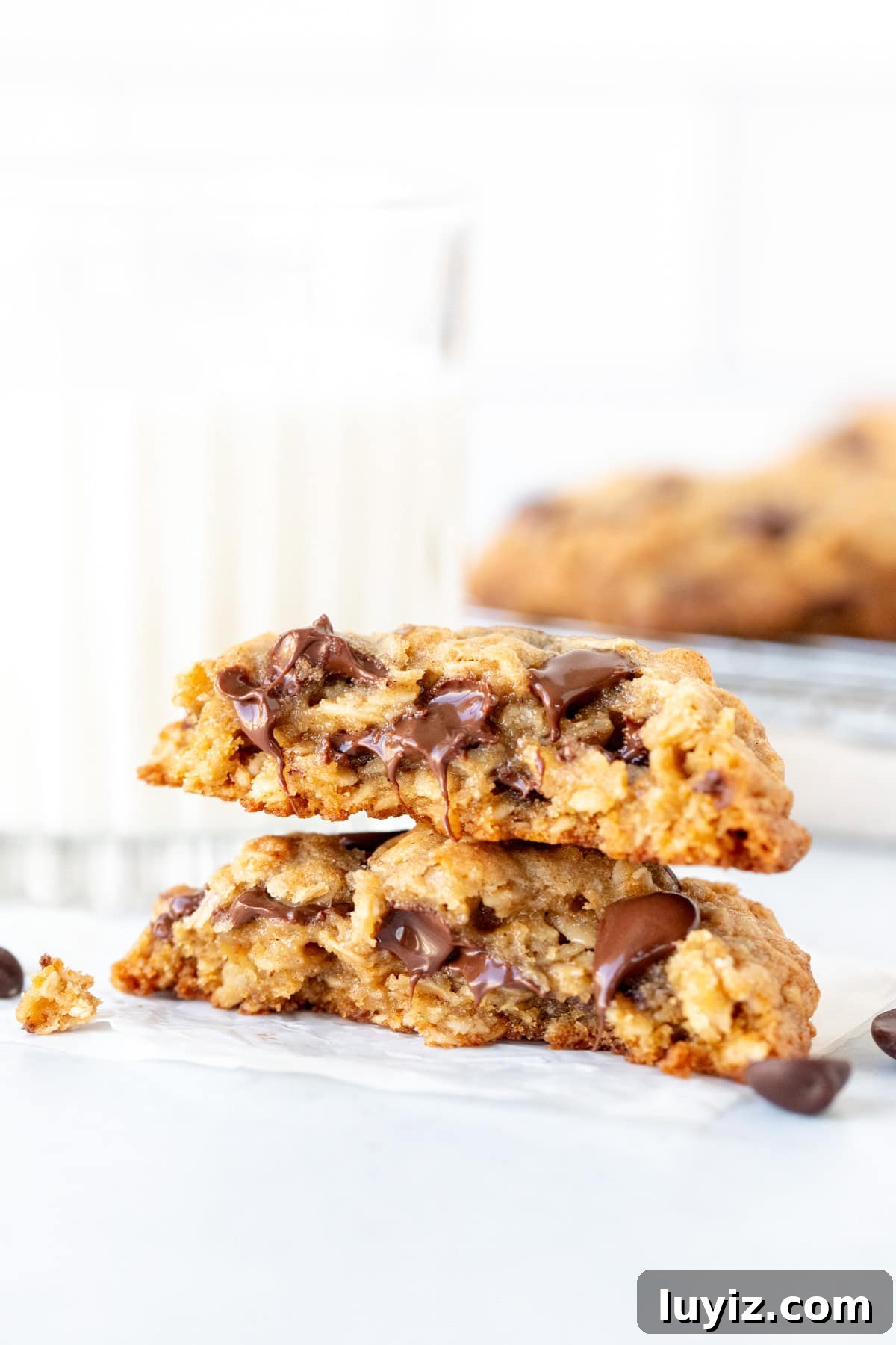 Chewy Oatmeal Chocolate Chip Cookies Recipe 6 Oatmeal chocolate chip cookie broken in half with halves stacked
