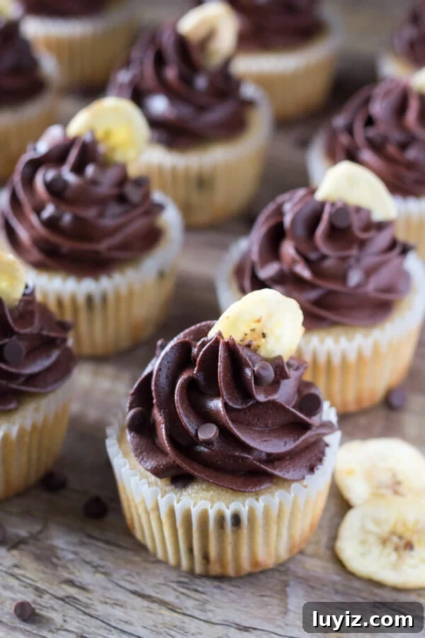 Moist Banana Chocolate Chip Cupcakes with Rich Chocolate Frosting 3 Super flavorful, perfectly moist Banana Chocolate Chip Cupcakes with Chocolate Frosting. If you love banana bread and chocolate - these are for you!