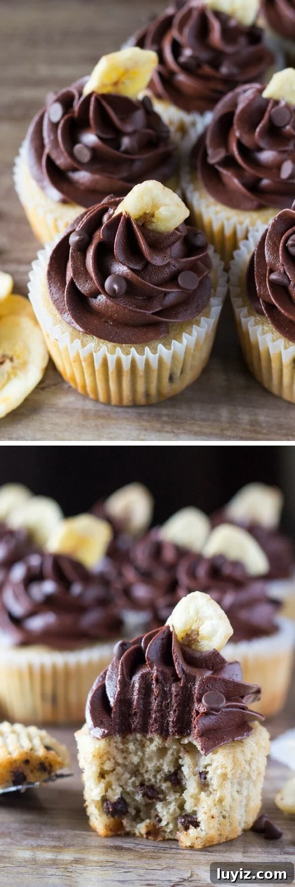 Moist Banana Chocolate Chip Cupcakes with Rich Chocolate Frosting 5 Super flavorful, perfectly moist Banana Chocolate Chip Cupcakes with Chocolate Frosting. If you love banana bread and chocolate - these are for you!