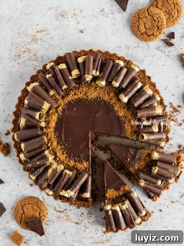 Decadent No-Bake Dark Chocolate Tart Recipe 6 Dark Chocolate Gingersnap Tart recipe