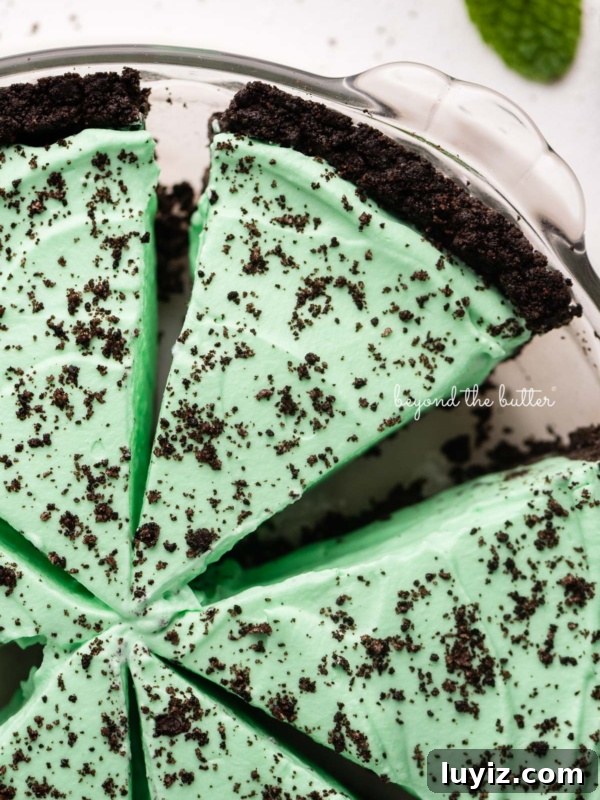 Decadent No-Bake Dark Chocolate Tart Recipe 8 Slices of no bake mint chocolate pie in a glass pie plate