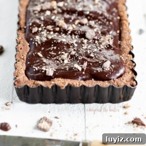 Decadent No-Bake Dark Chocolate Tart Recipe 9 Dark chocolate tart topped with Bahlsen Choco Lebniz cookies