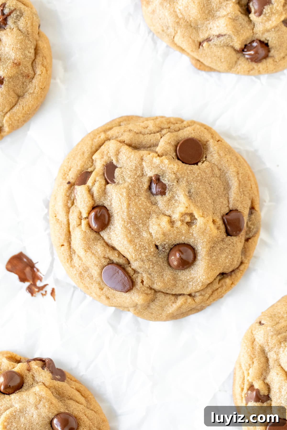 Chewy Peanut Butter Chocolate Chip Cookie Recipe 3 Peanut butter cookies with chocolate chips