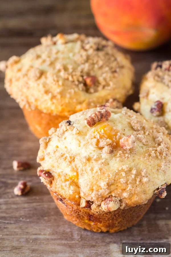 Peach Streusel Muffins: Soft Peach Muffins with Crunchy Topping 2 Fluffy, buttery, super soft Peach Muffins with Streusel Topping - The combo of fresh summer peaches and crunchy, cinnamon, pecan streusel makes these the perfect peach muffins!