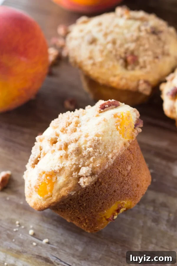 Peach Streusel Muffins: Soft Peach Muffins with Crunchy Topping 3 Fluffy, buttery, super soft Peach Muffins with Streusel Topping - The combo of fresh summer peaches and crunchy, cinnamon, pecan streusel makes these the perfect peach muffins!