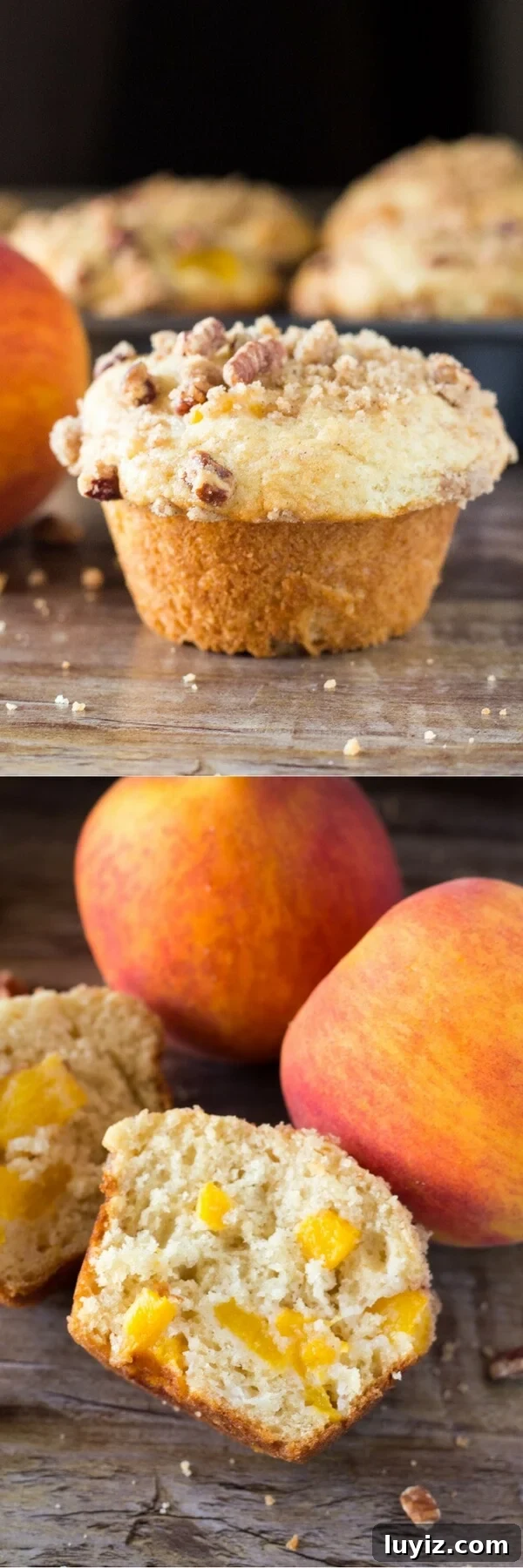 Peach Streusel Muffins: Soft Peach Muffins with Crunchy Topping 5 Fluffy, buttery, super soft Peach Muffins with Streusel Topping - The combo of fresh summer peaches and crunchy, cinnamon, pecan streusel makes these the perfect peach muffins!