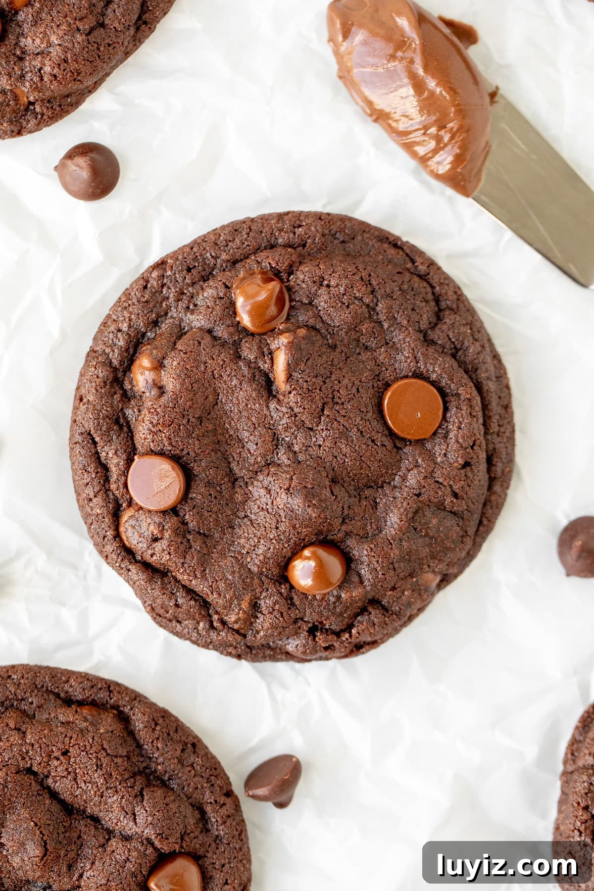 Chewy Nutella Cookies Recipe: Rich, Melt-in-Your-Mouth Treats 8 Nutella chocolate cookie with butter knife of Nutella
