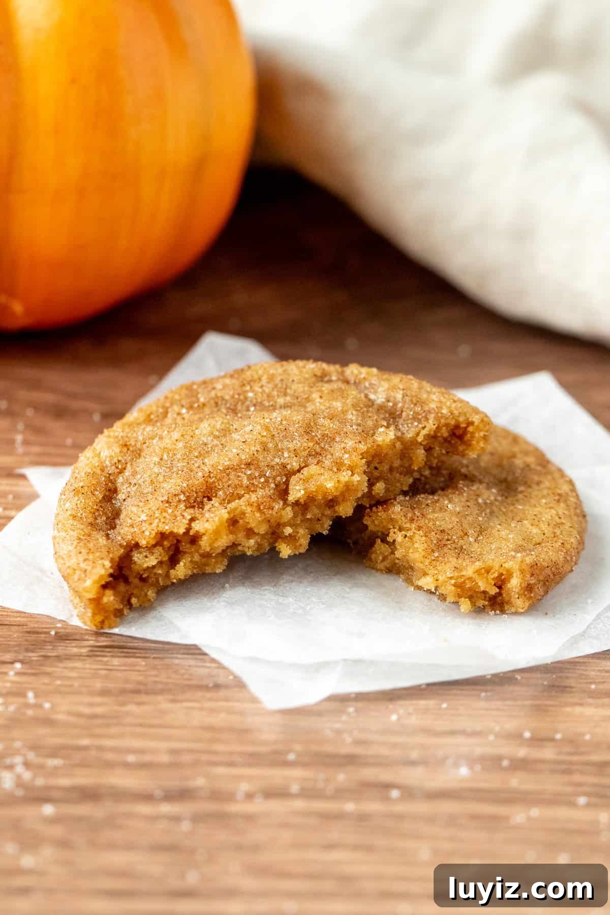 Chewy Pumpkin Spice Cookie Recipe for Fall Baking 11 chewy pumpkin cookie broken in half