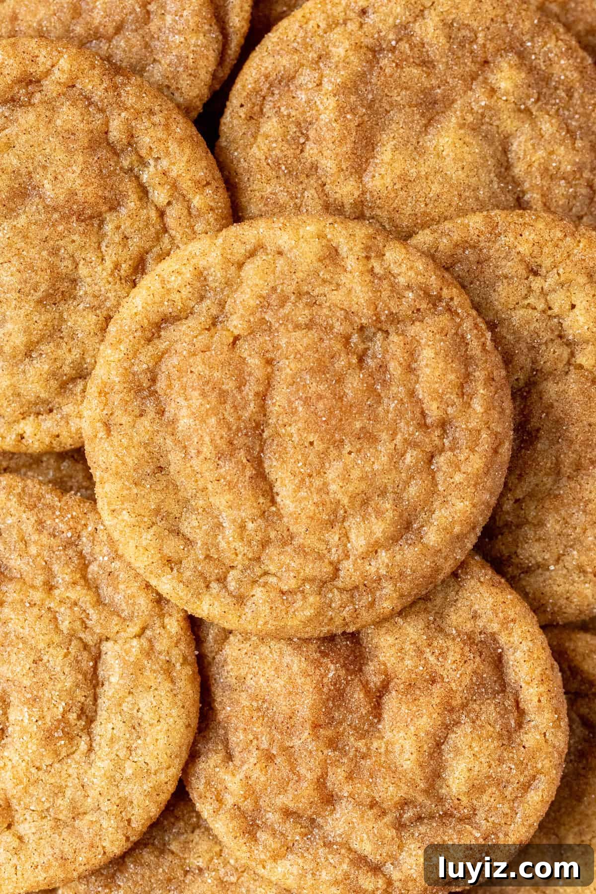Chewy Pumpkin Spice Cookie Recipe for Fall Baking 4 pumpkin snickerdoodle cookies in a pile