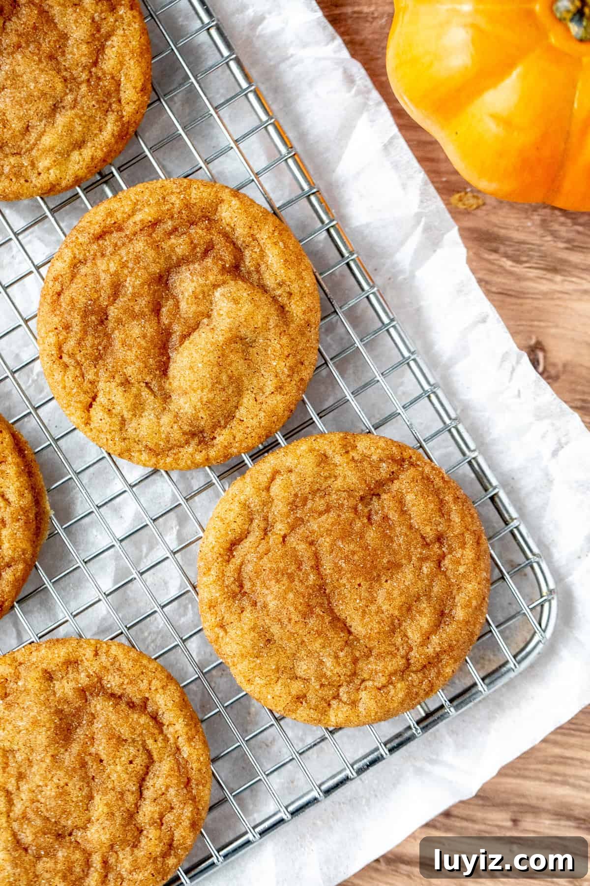 Chewy Pumpkin Spice Cookie Recipe for Fall Baking 10 Cooling tray of pumpkin snickerdoodle cookies