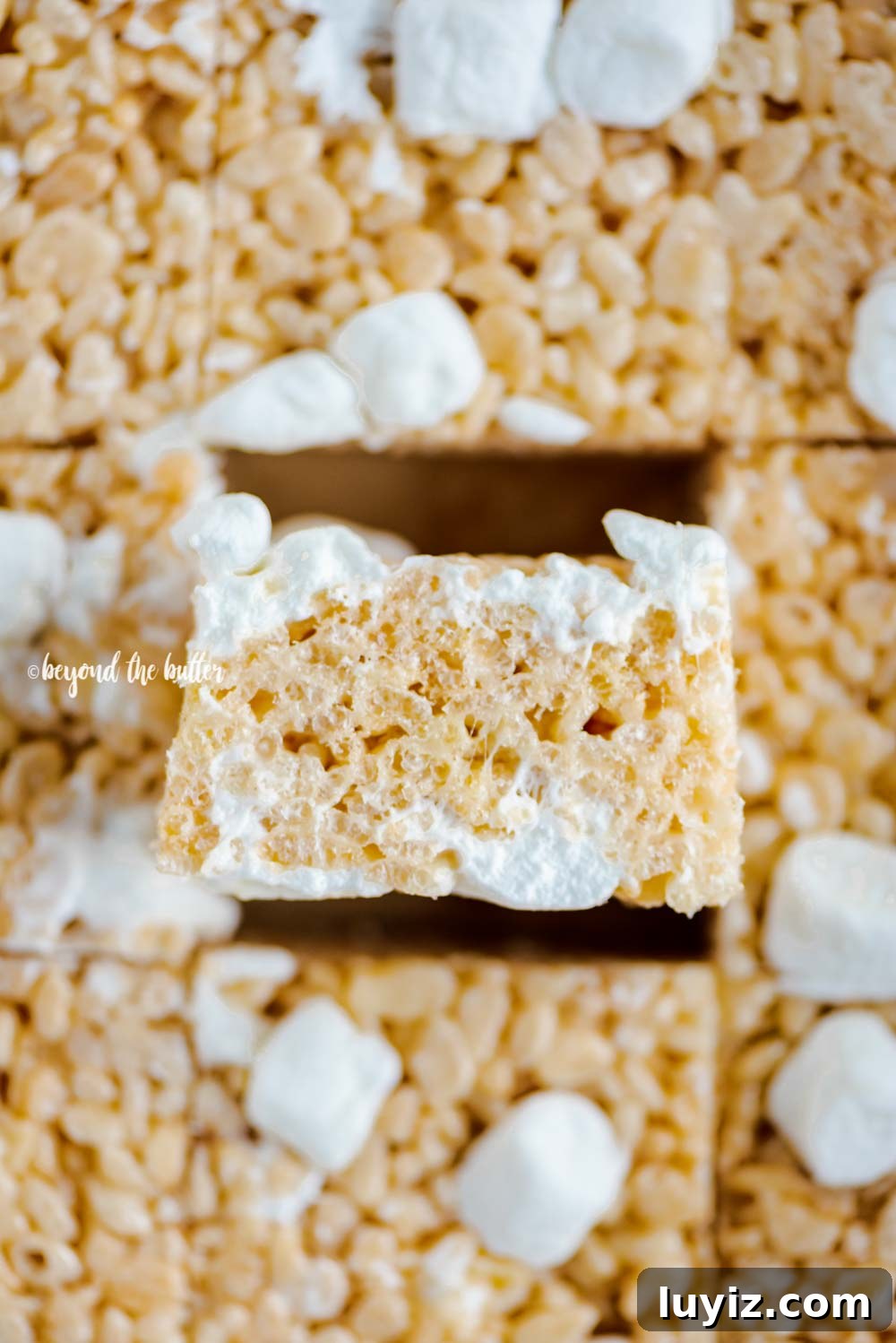 Perfectly Chewy Rice Krispie Treats Recipe 5 Closeup overhead image of just cut rice krispie treats with one placed on its side