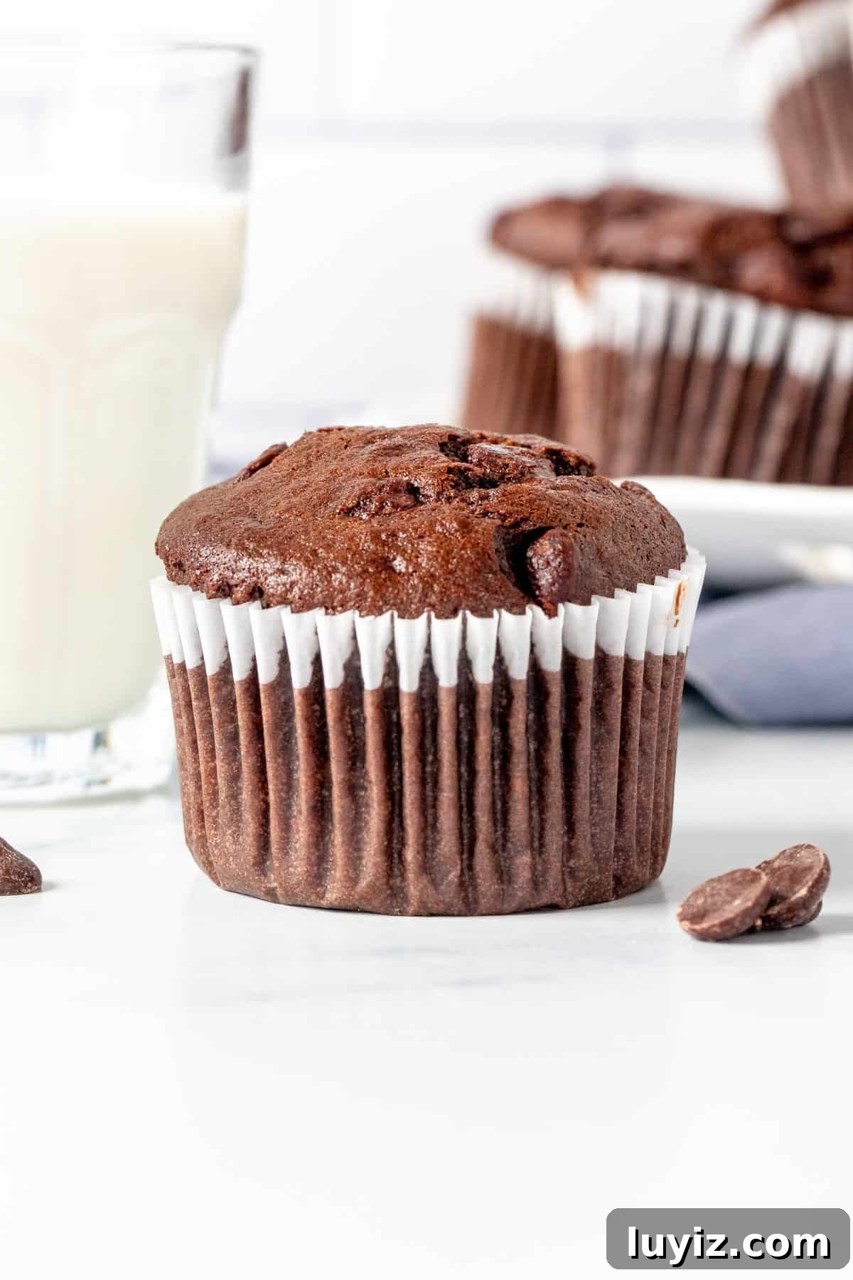 Double Chocolate Banana Muffins with Rich Cocoa Swirl 6 Chocolate banana muffin with glass of milk and plate of muffins