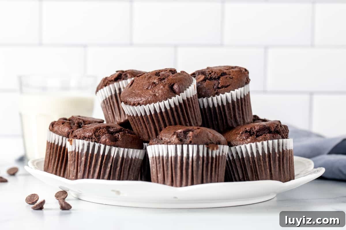 Double Chocolate Banana Muffins with Rich Cocoa Swirl 7 Plate of chocolate muffins