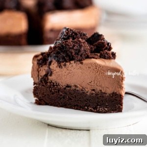 Decadent Chocolate Brownie Cheesecake Recipe with Fudgy Swirls 11 Chocolate Brownie Cheesecake | All Images © Beyond the Butter, LLC