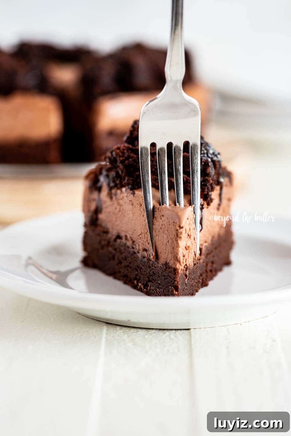 Decadent Chocolate Brownie Cheesecake Recipe with Fudgy Swirls 6 Chocolate Brownie Cheesecake recipe | All Images © Beyond the Butter, LLC