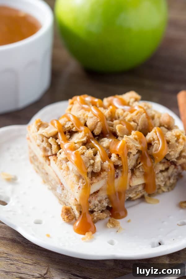 Apple Oatmeal Crumble Bars — Chewy Apple Oat Bars Recipe 2 These no-mixer Apple Oatmeal Crumb Bars are perfect for fall. Filled with oatmeal, brown sugar, & cinnamon apples - have them with ice cream & caramel for dessert, then the leftovers for breakfast!