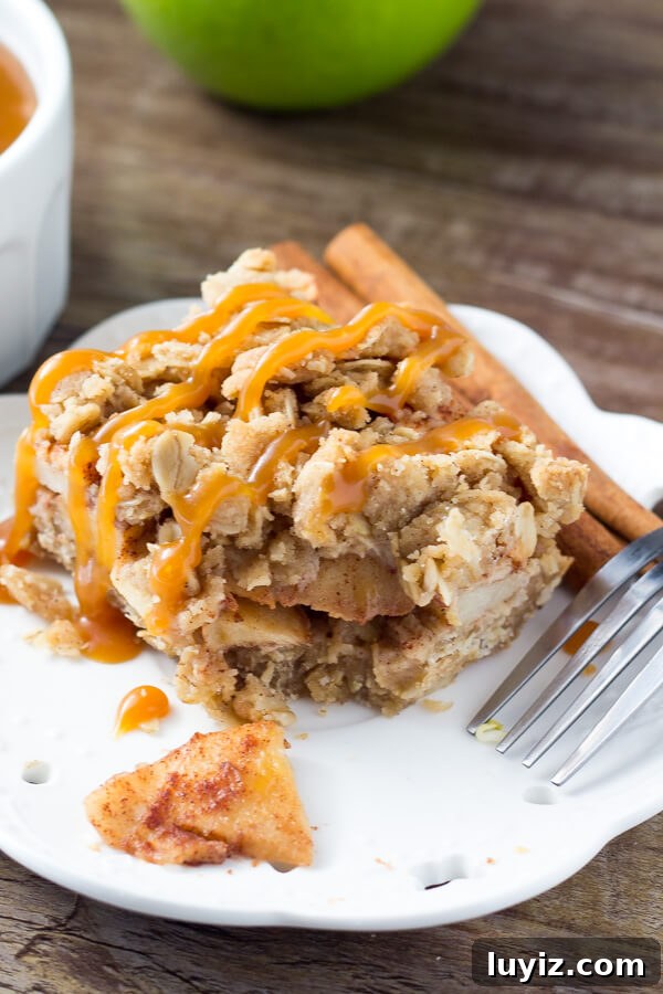 Apple Oatmeal Crumble Bars — Chewy Apple Oat Bars Recipe 3 These no-mixer Apple Oatmeal Crumb Bars are perfect for fall. Filled with oatmeal, brown sugar, & cinnamon apples - have them with ice cream & caramel for dessert, then the leftovers for breakfast!