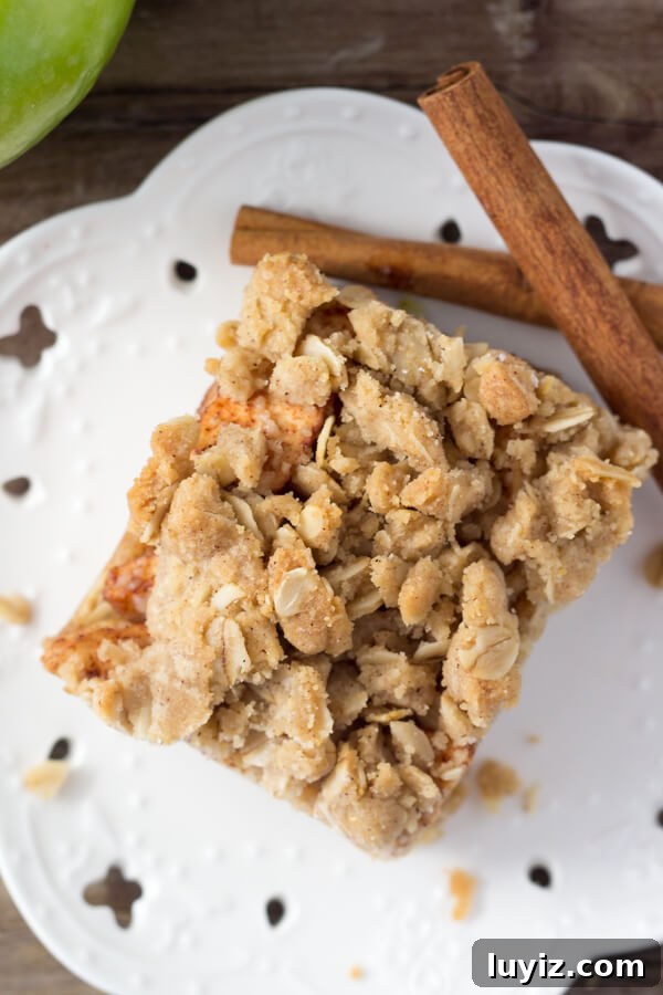 Apple Oatmeal Crumble Bars — Chewy Apple Oat Bars Recipe 4 These no-mixer Apple Oatmeal Crumb Bars are perfect for fall. Filled with oatmeal, brown sugar, & cinnamon apples - have them with ice cream & caramel for dessert, then the leftovers for breakfast!