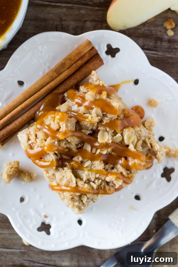 Apple Oatmeal Crumble Bars — Chewy Apple Oat Bars Recipe 6 These no-mixer Apple Oatmeal Crumb Bars are perfect for fall. Filled with oatmeal, brown sugar, & cinnamon apples - have them with ice cream & caramel for dessert, then the leftovers for breakfast!