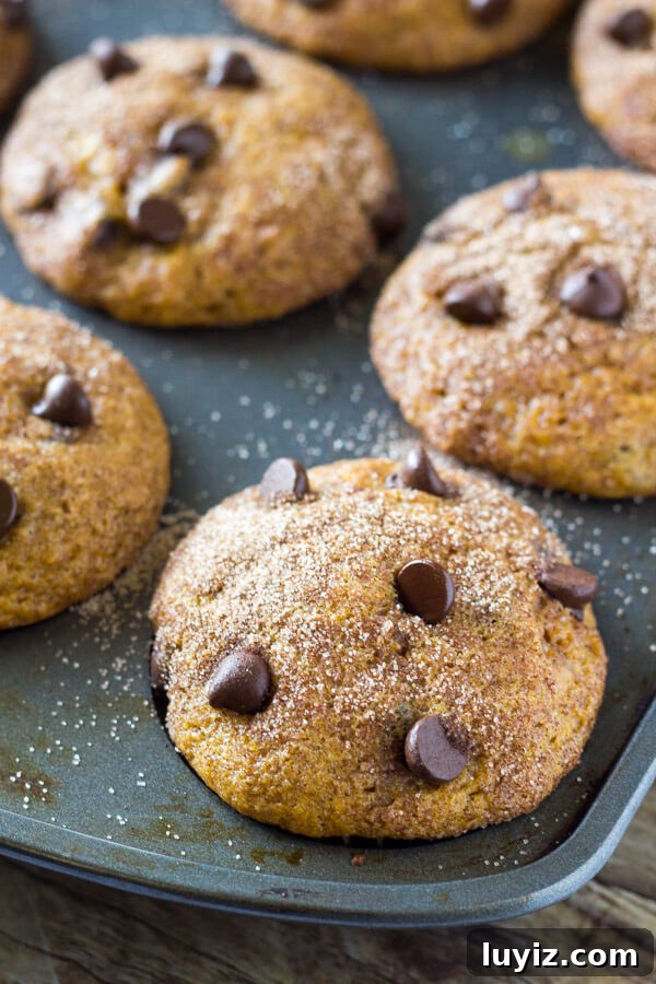 Pumpkin Chocolate Chip Muffins Recipe — Moist Fall Muffins 2 Filled with cinnamon, nutmeg, vanilla, a healthy dose of pumpkin and chocolate chips - these super moist Pumpkin Chocolate Chip Muffins are a must for your fall baking!