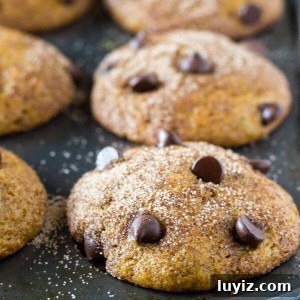 Filled with cinnamon, nutmeg, vanilla, a healthy dose of pumpkin and chocolate chips - these super moist Pumpkin Chocolate Chip Muffins are a must for your fall baking!