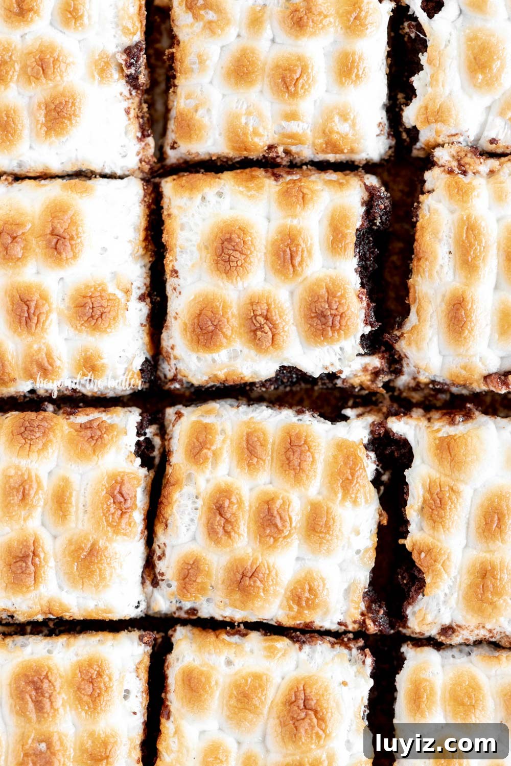 Layered S'mores Brownies Recipe: Graham, Chocolate & Toasted Marshmallow 3 Classic S'mores Brownies with mini marshmallows | All Images © Beyond the Butter, LLC