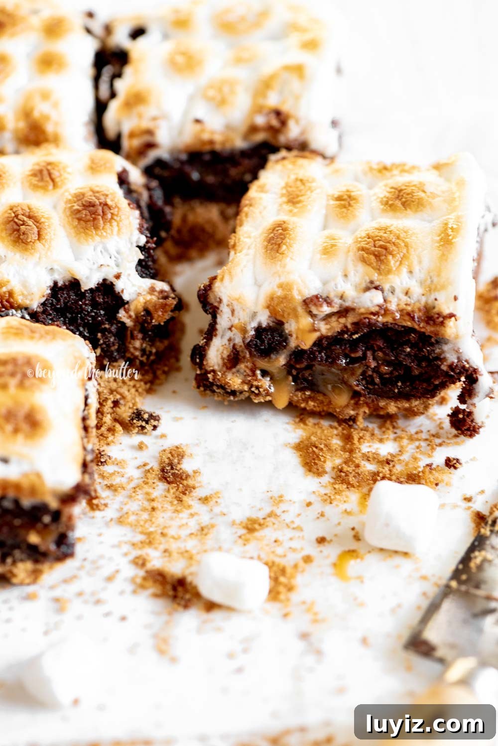 Layered S'mores Brownies Recipe: Graham, Chocolate & Toasted Marshmallow 5 Classic S'mores Brownies | All Images © Beyond the Butter, LLC