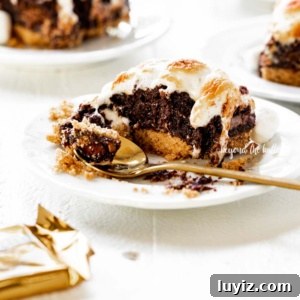 Layered S'mores Brownies Recipe: Graham, Chocolate & Toasted Marshmallow 7 Half eaten S'mores Brownie on a dessert plate.