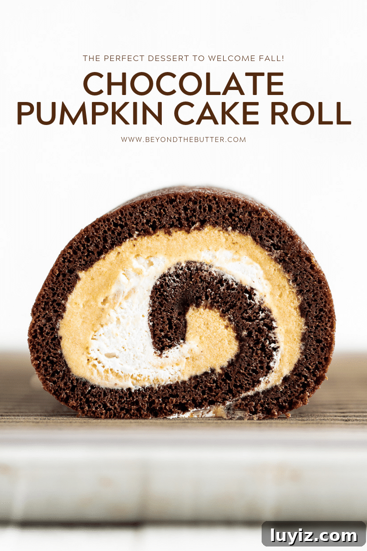 Chocolate Pumpkin Swiss Roll with Cocoa Cream Filling 6 Chocolate Pumpkin Cake Roll