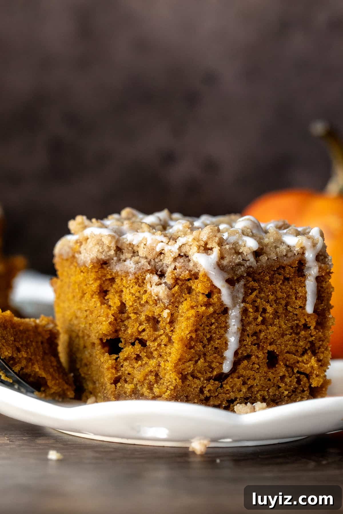 Pumpkin Spice Coffee Cake Recipe for Fall Gatherings 4 Slice of pumpkin coffee cake with bite taken out