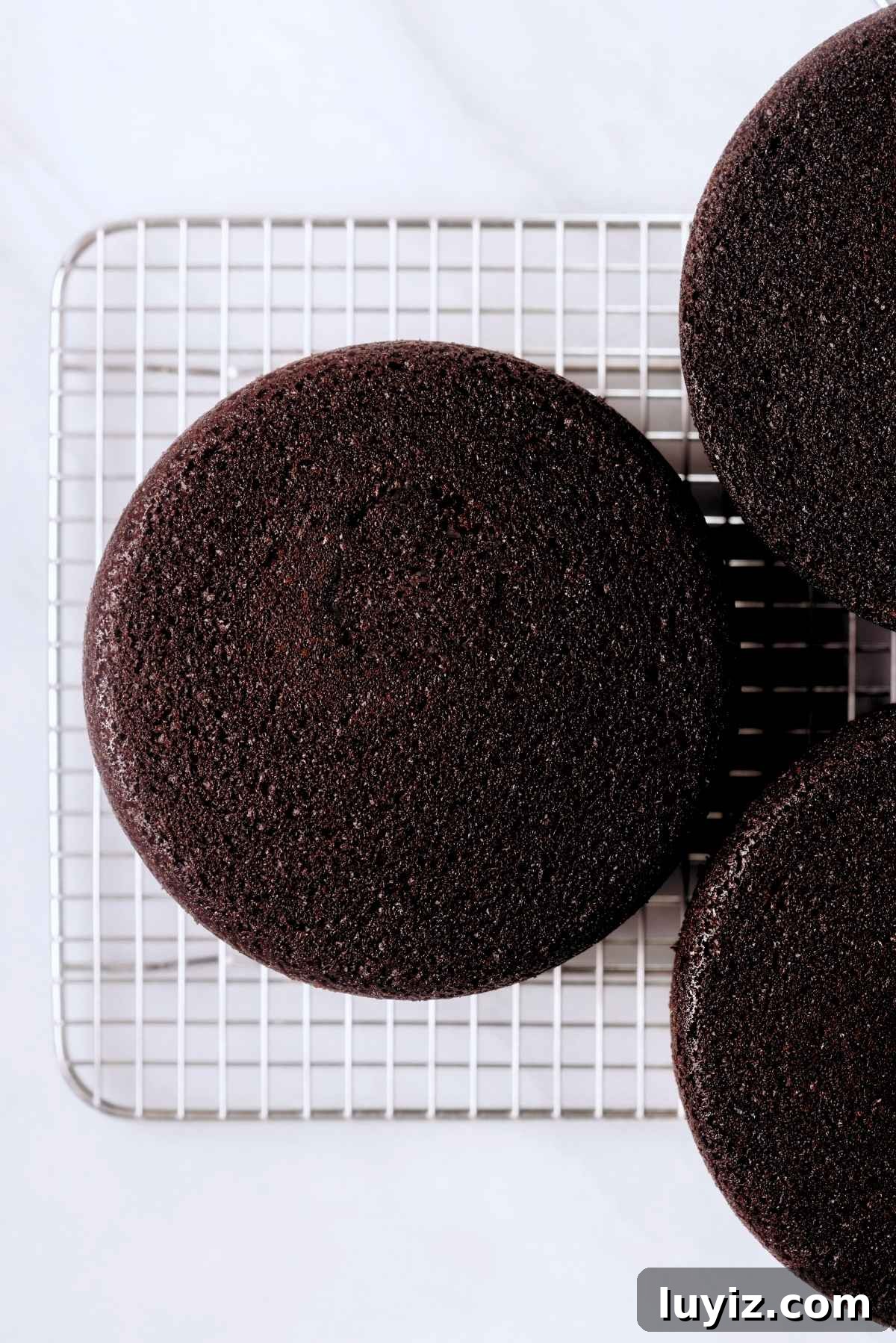 Decadent Chocolate Cake with Oreo Buttercream Frosting 13 Chocolate cake layers on a wire cooling rack on a white background.