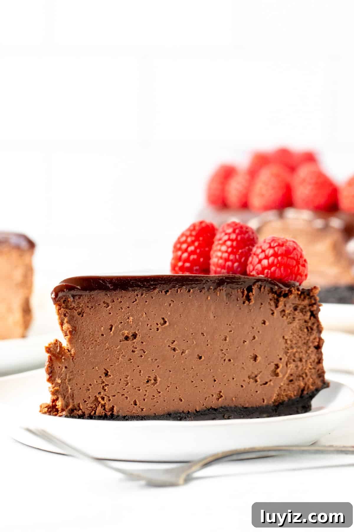 Decadent Chocolate Cheesecake Recipe: Creamy, Rich & Fudgy 2 Chocolate cheesecake whole