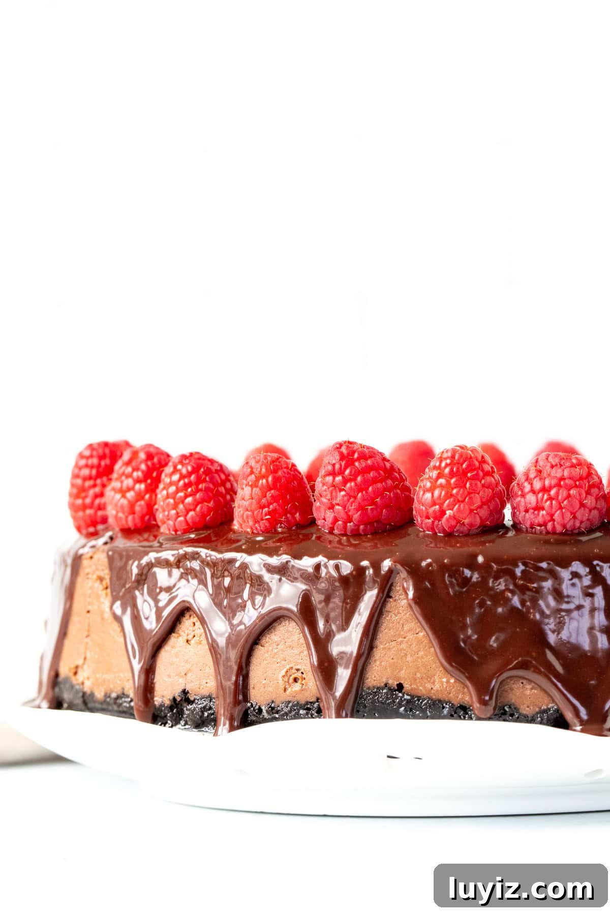Decadent Chocolate Cheesecake Recipe: Creamy, Rich & Fudgy 3 9-inch round chocolate cheesecake topped with chocolate ganache and berries