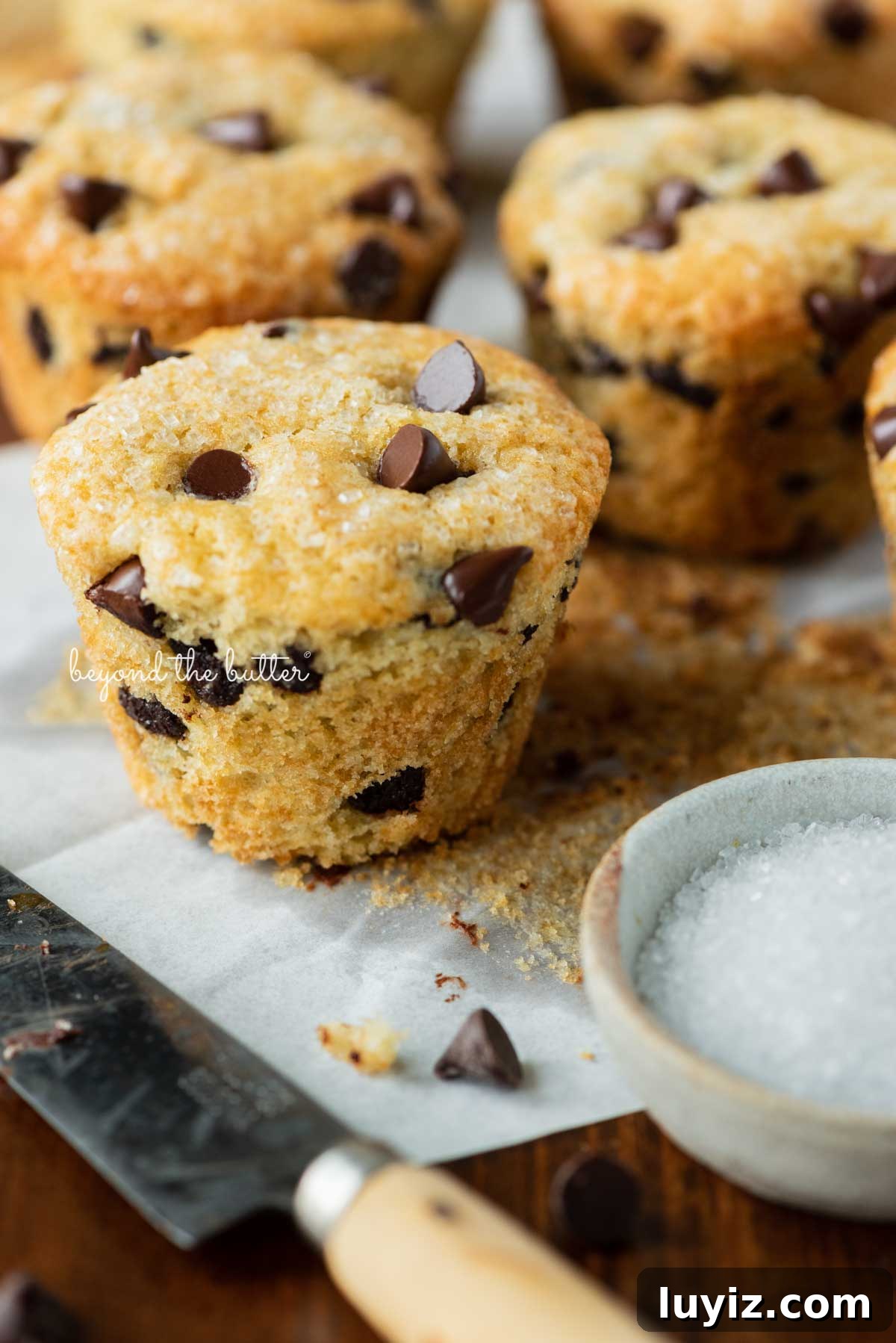 Bakery-Style Chocolate Chip Muffins Recipe for Fluffy Results 2 Bakery style chocolate chip mufins unwrapped with a small dipping bowl of sparkling sugar nearby