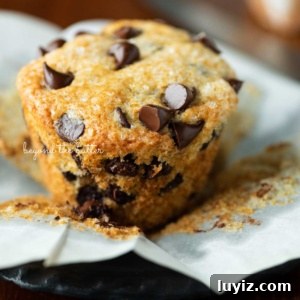 Bakery-Style Chocolate Chip Muffins Recipe for Fluffy Results 11 Unwrapped bakery style chocolate chip muffin on flattened muffin liner and black dessert plate.