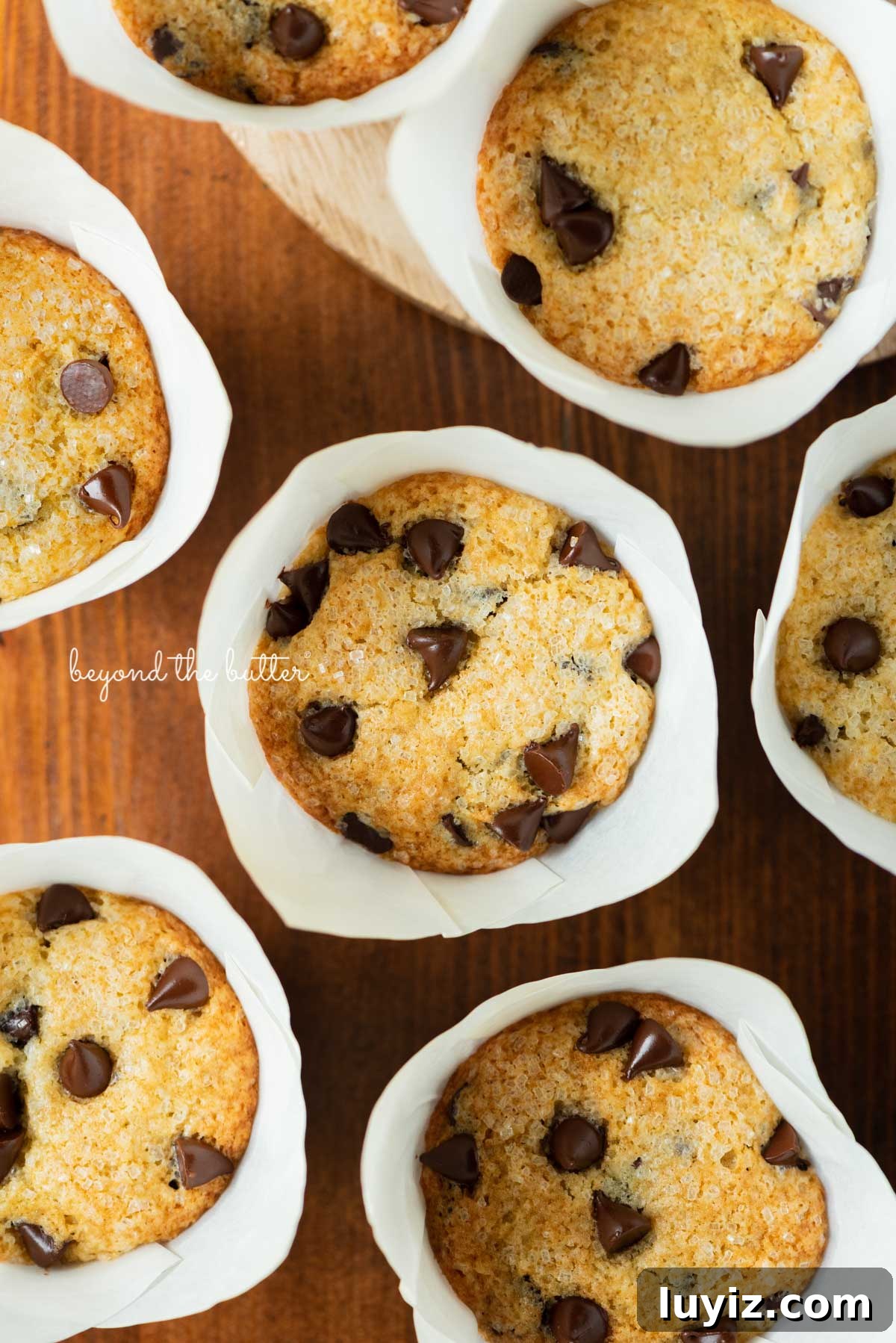 Bakery-Style Chocolate Chip Muffins Recipe for Fluffy Results 4 Bakery style chocolate chip muffins on a dark wood background