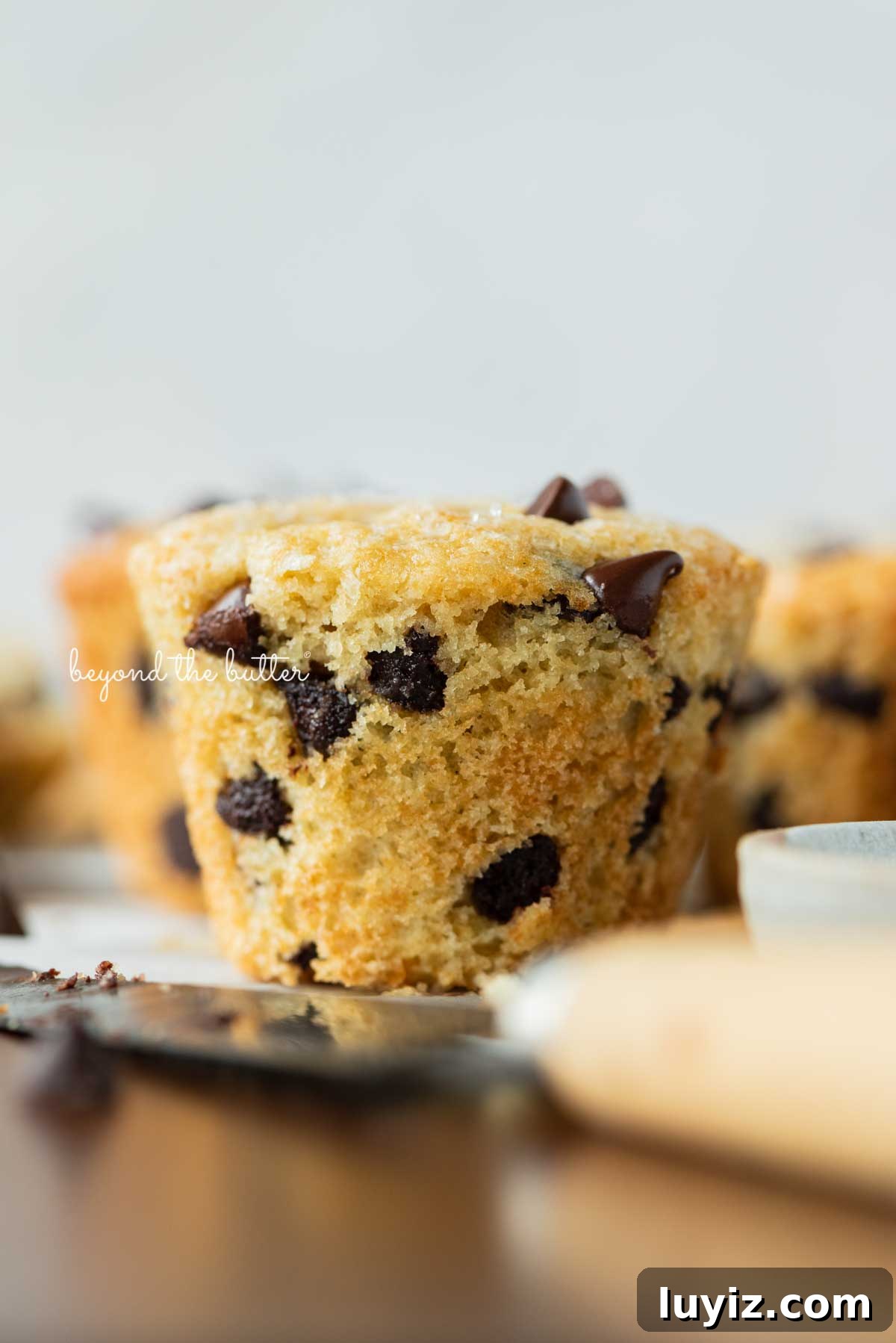 Bakery-Style Chocolate Chip Muffins Recipe for Fluffy Results 6 Single unwrapped bakery style chocolate chip muffin on a flattened muffin liner with white background