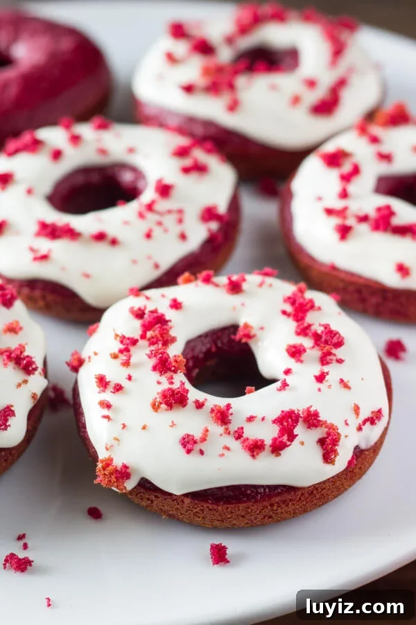 Homemade Baked Red Velvet Doughnuts Recipe 3 Baked Red Velvet Doughnuts. These moist doughnuts have the perfect cake doughnut crumb, a delicious red velvet flavor & a cream cheese glaze. www.justsotasty.com
