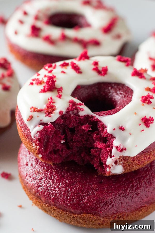 Homemade Baked Red Velvet Doughnuts Recipe 4 Baked Red Velvet Doughnuts. These moist doughnuts have the perfect cake doughnut crumb, a delicious red velvet flavor & a cream cheese glaze. www.justsotasty.com