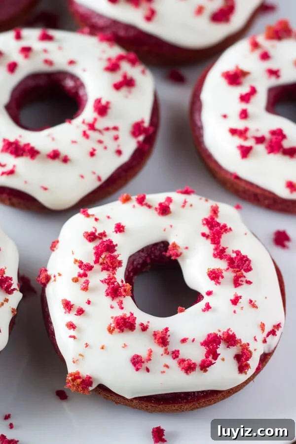 Homemade Baked Red Velvet Doughnuts Recipe 5 Baked Red Velvet Doughnuts. These moist doughnuts have the perfect cake doughnut crumb, a delicious red velvet flavor & a cream cheese glaze. www.justsotasty.com