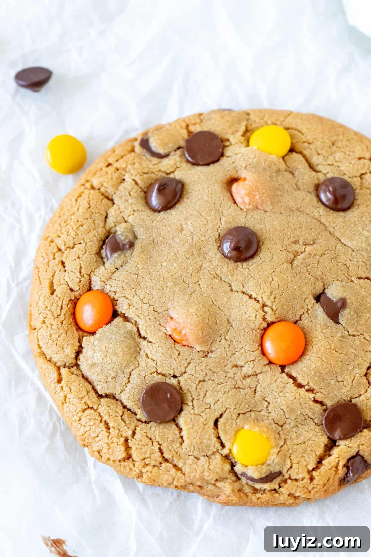 Single-Serve Peanut Butter Cookie Recipe for One 2 Very large peanut butter cookie with chocolate chips and Reese's Pieces