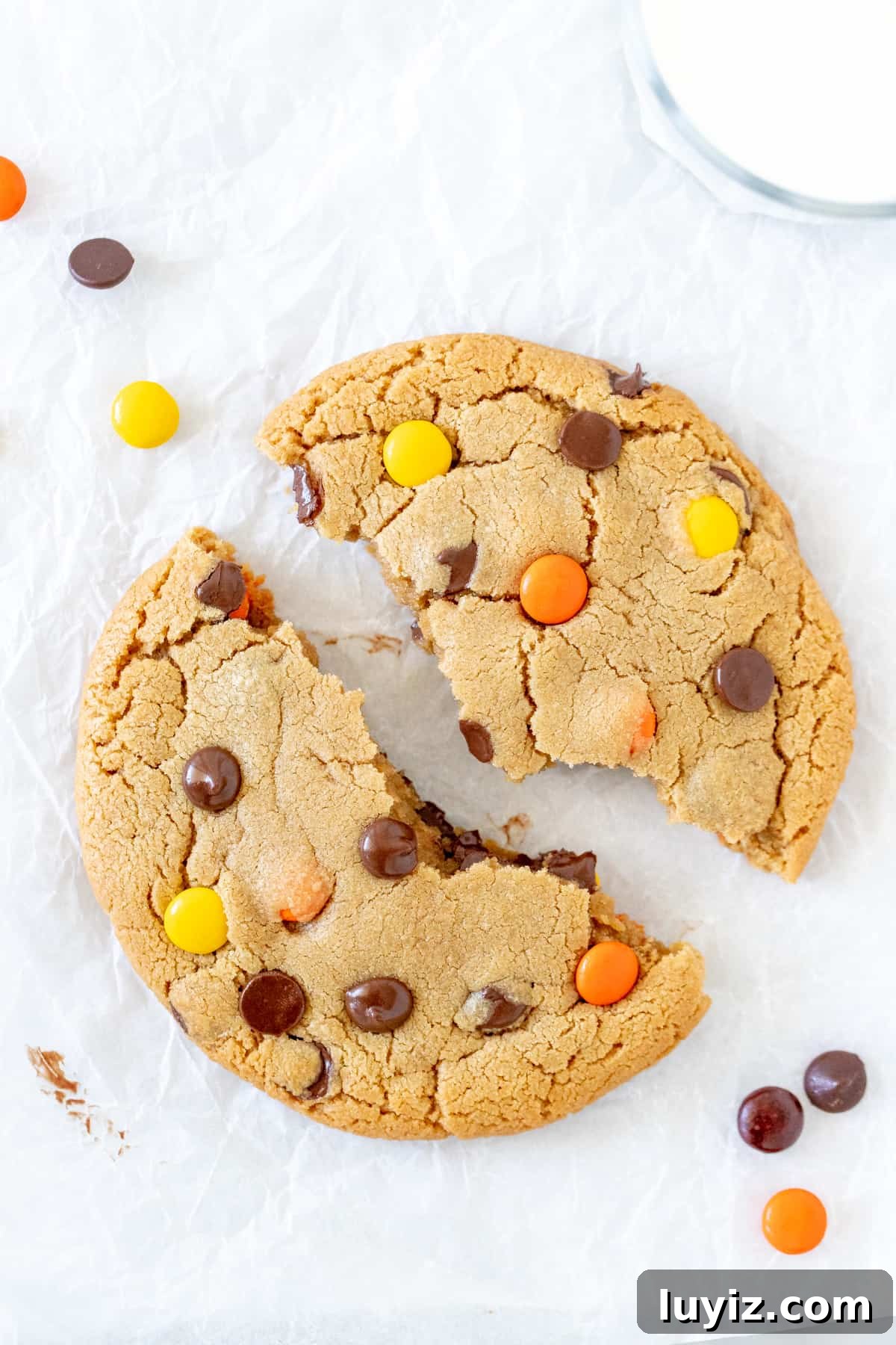 Single-Serve Peanut Butter Cookie Recipe for One 3 Peanut butter cookie for one, broken in half
