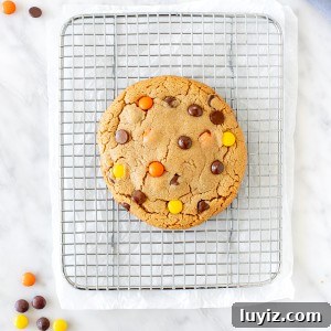Single-Serve Peanut Butter Cookie Recipe for One 6 Peanut butter cookie on a cooling rack