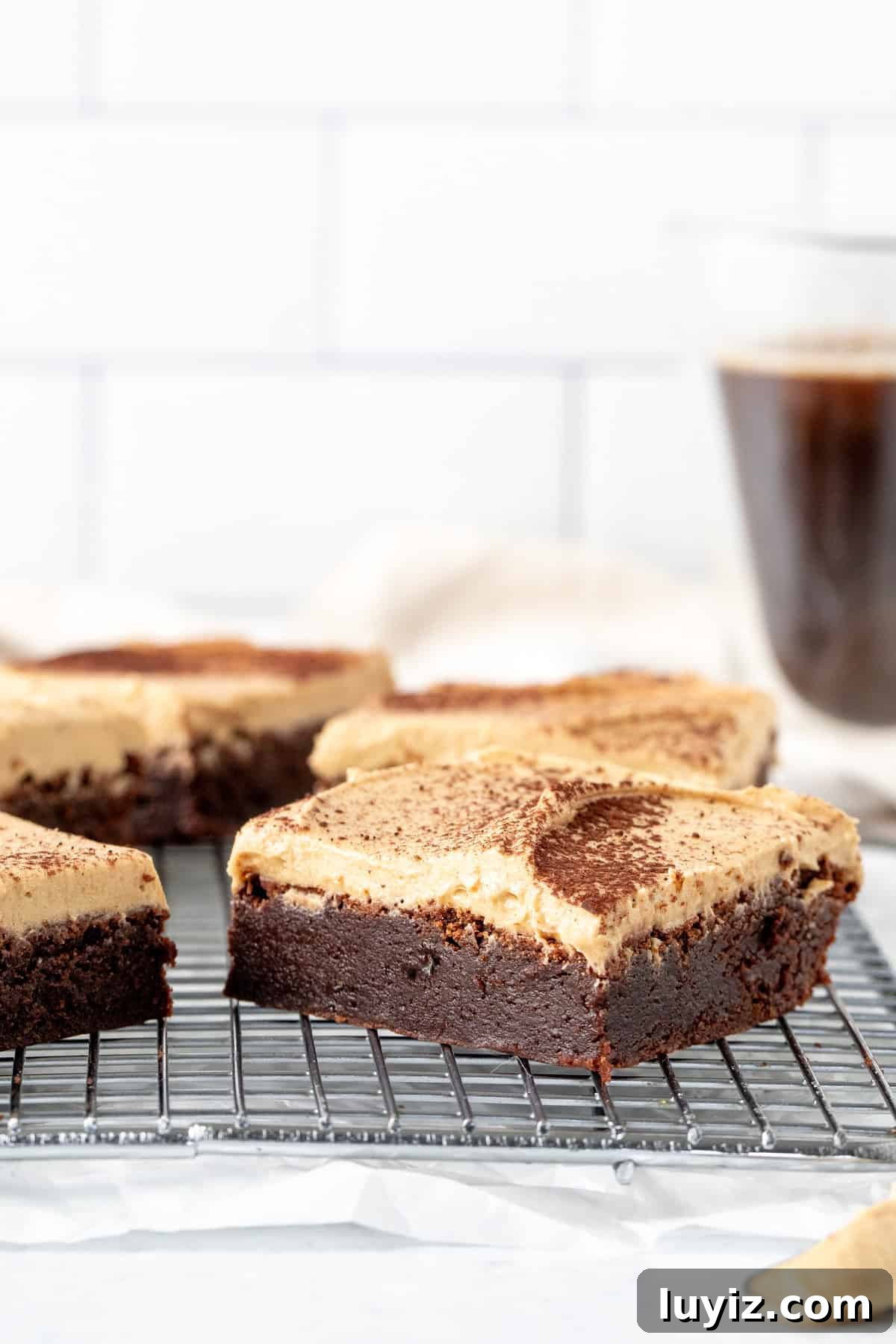 Mocha Brownies with Café Latte Frosting: Coffee-Infused Dessert Recipe 2 Mocha brownies with coffee frosting on a cooling rack